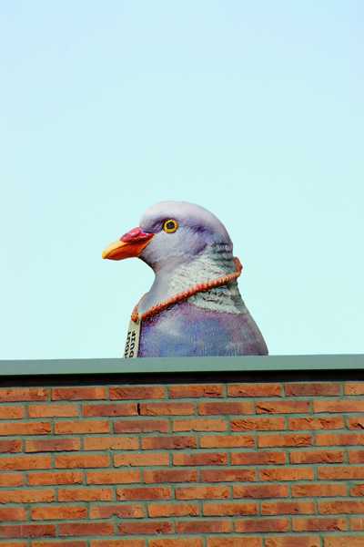 'Kunst aan Huis' - Ingrid Mol foto: Roger Teeuwen