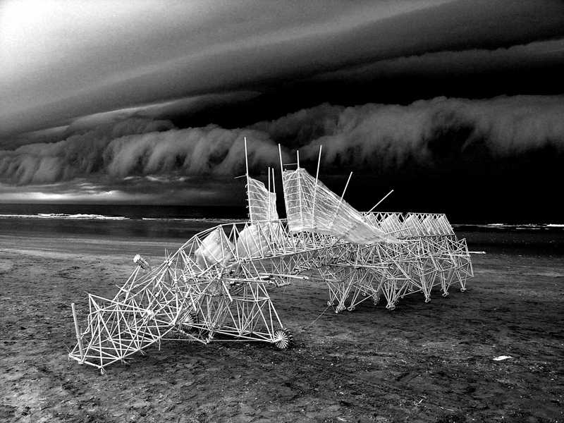 Theo Jansen en zijn strandbeesten foto: Loek van der Klis