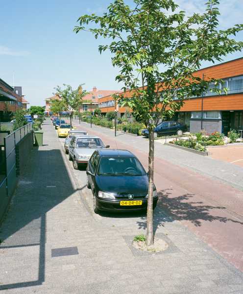 Bomenmuseum Wateringse Veld foto: Stroom Den Haag