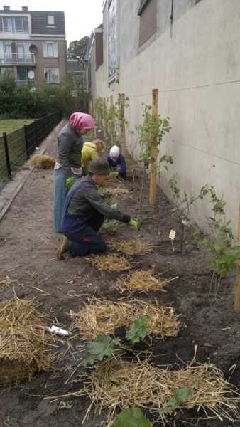 Foodscape Schilderswijk, 2011 foto: © Urbaniahoeve