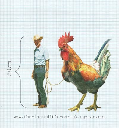 Arne Hendriks, The Incredible Shrinking Man foto: Arne Hendriks