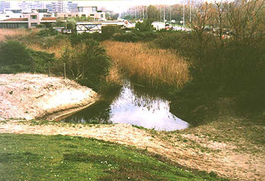 Krijn Giezen, 'Het zichtbaar maken van de Haagse Beek', 2000, fotograaf onbekend
