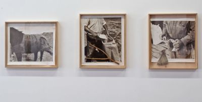 Krijn Giezen, Indian Cress, 3 of 4 photographs, 1966 photo: Rob Kollaard, courtesy Stroom Den Haag
